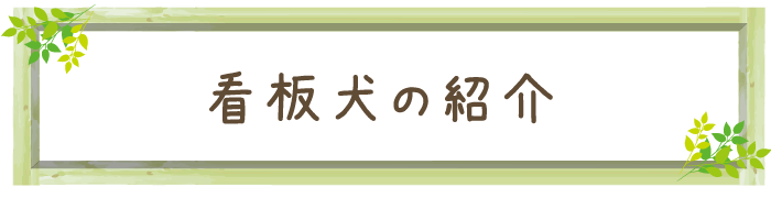 看板犬の紹介