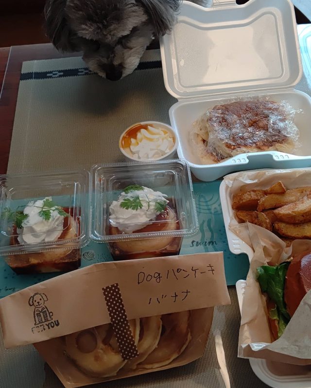 Cafe Lu 湘南のパンケーキ ドッグカフェ